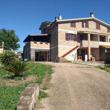 La Tana Di Stefano Anguillara Sabazia Exterior photo